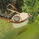thumbnail image 1 of Caja de observación de insectos para niños Macarena equipo de exploración, 1 of 8