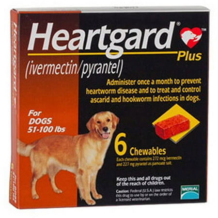 Heart worm coupon
