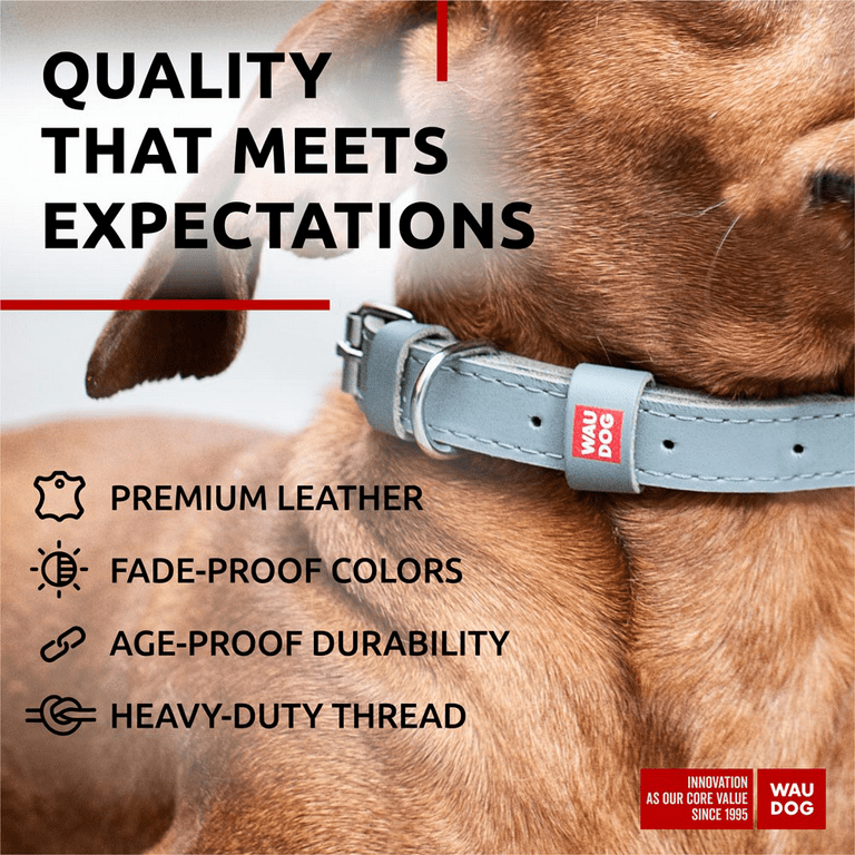 WAUDOG Classic Leather Dog Collar for Small Medium and Large Dogs
