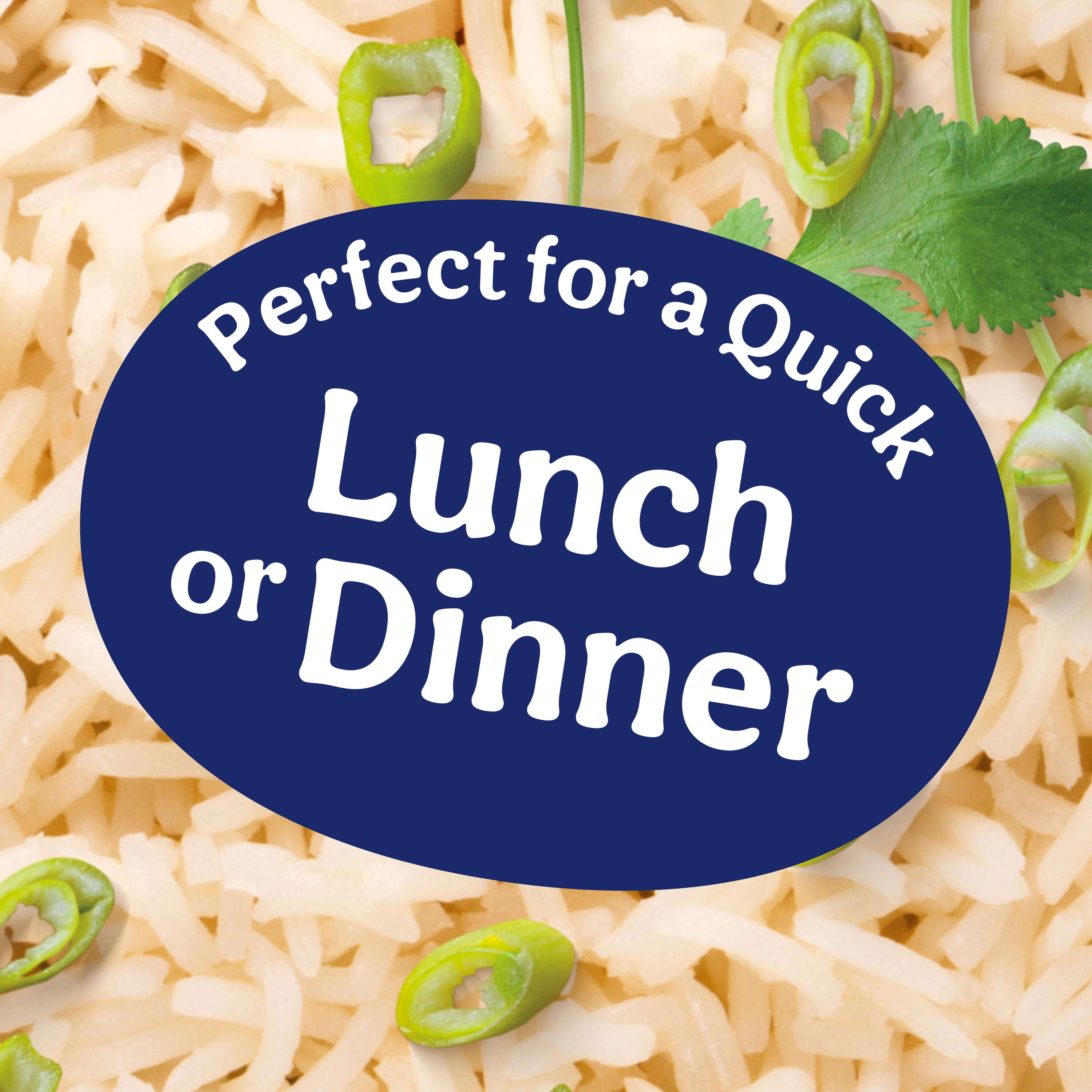 (6 pack) Ben's Original Ready Rice Jasmine Family Size Rice, Easy Dinner Side, 17.3 oz Pouch