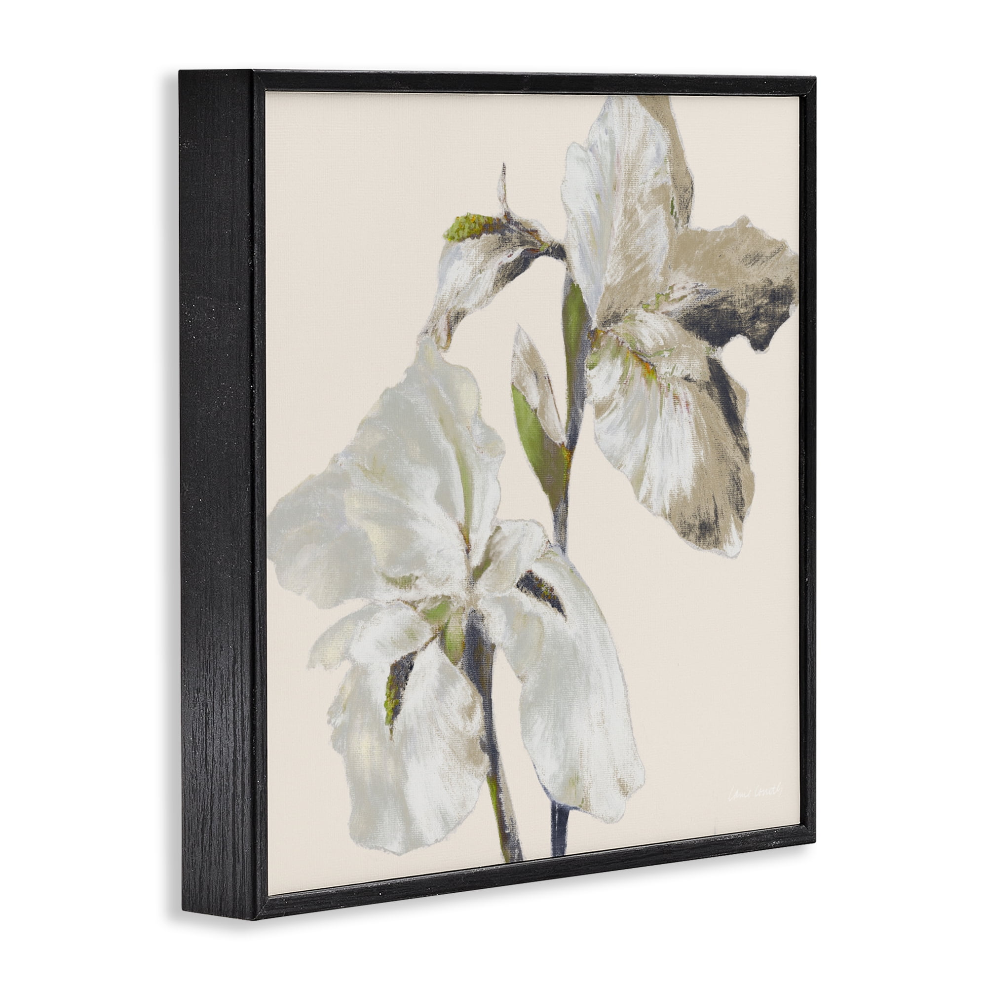 Stupell Industries Irises Soft Beige Black Framed Giclee Art, design by Lanie Loreth