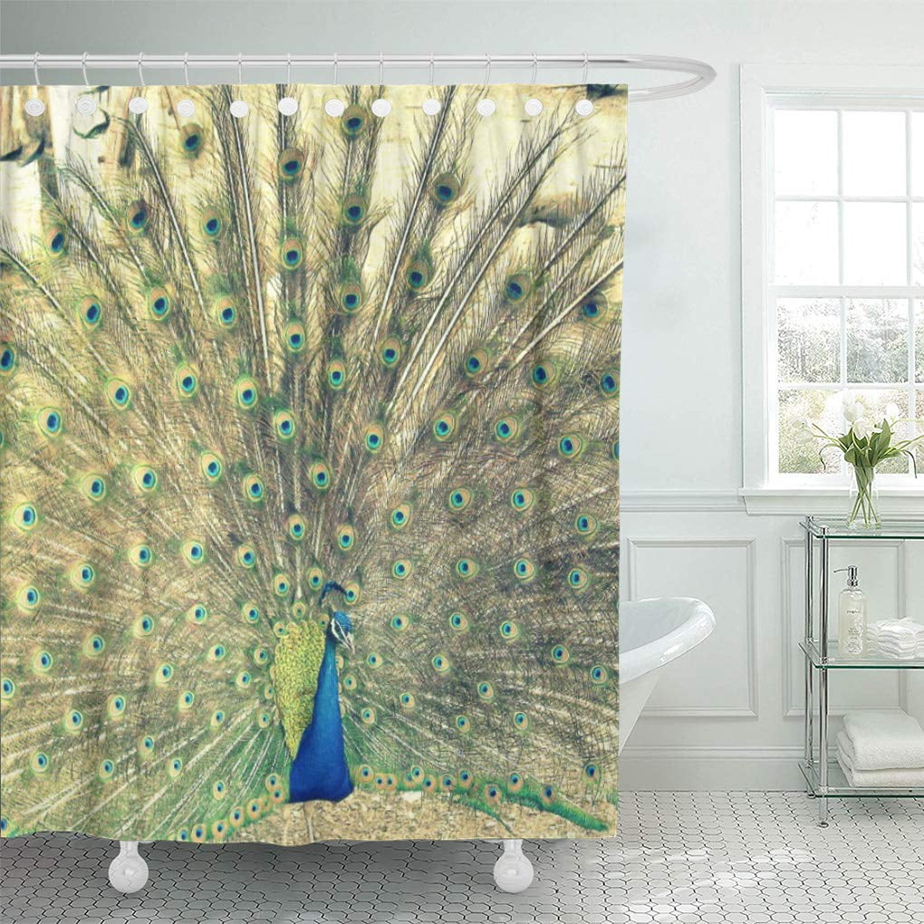 SUTTOM Bird Vintage Peacock Couch Shower Curtain 66x72 inch Walmart