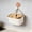 White, variant on QuanTara Kitchen Wall Mounted Hanging Storage Basket, Onion Garlic Ginger Vegetable Holder, Plastic Kitchen Organizer, Pantry Wall Storage Basket, 5.7x4.13x2.95in, 0.12lb, Orange