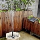 thumbnail image 3 of Fishingking Energía Solar fuente del agua de piscina y jardín Bomba de agua y riego para las plantas, 3 of 3