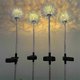 thumbnail image 3 of 2pcs Flower Solar Led Light Outdoor Lawn Lamp Waterproof Garden Terrace Landscape Garden Decoration, 3 of 5