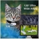 thumbnail image 4 of Catcam Pro, Cat Cam Pro 2.0, HD 1080p Video Camera Mini Collar Camera, 4 of 4