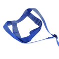 thumbnail image 5 of Pet Bird Harness And Leash,adjustable Parrot Bird Harness Leash - Pet Anti-bite Training Rope Outdo, 5 of 5