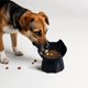 thumbnail image 5 of Peine autolimpiable para gatos y perros,desenredante y eliminador de pelo suelto con un solo botón,peine de dientes densos para mascotas,herramienta de aseo para gatos y perros, 5 of 9
