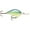 Caribbean Shad, variant on Rapala Dives-To 16 Fishing Lure Dark Brown Crawdad