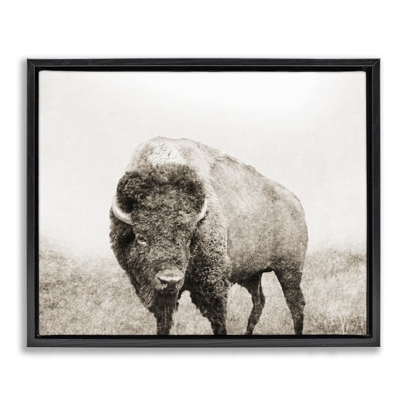 Stupell Industries Farmhouse Bison Distressed Portrait Black Floating Frame Canvas Art, 21 x 17, by Dan Meneely