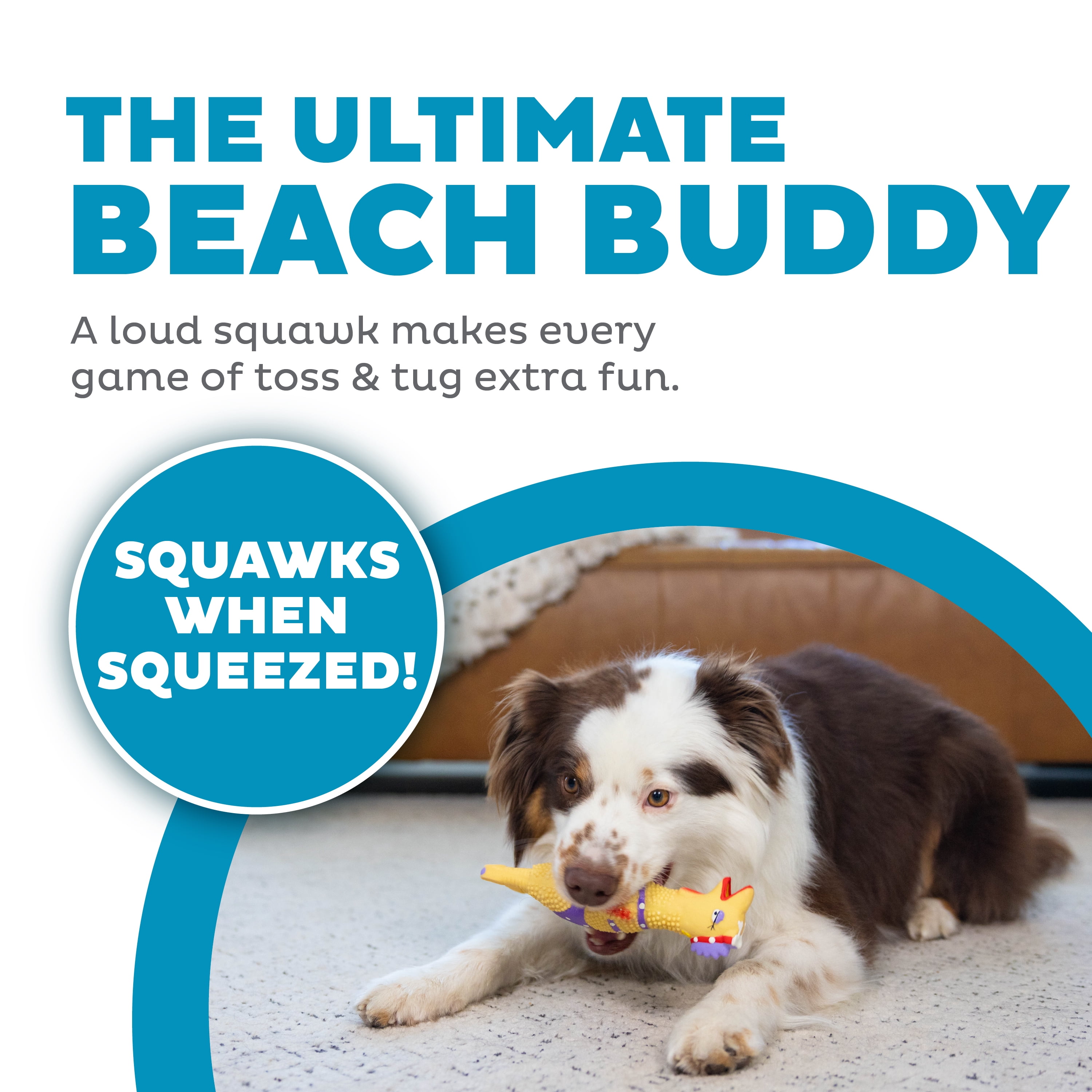 Outward Hound by Charming Pet Squawkers Henrietta Latex Squeaky Rubber Chicken Dog Toy, Funny Interactive Holiday Toy for Dogs, Small Size