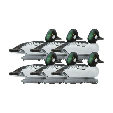 Final Approach Live Common Goldeneye Floating Duck Decoys 6 Pack