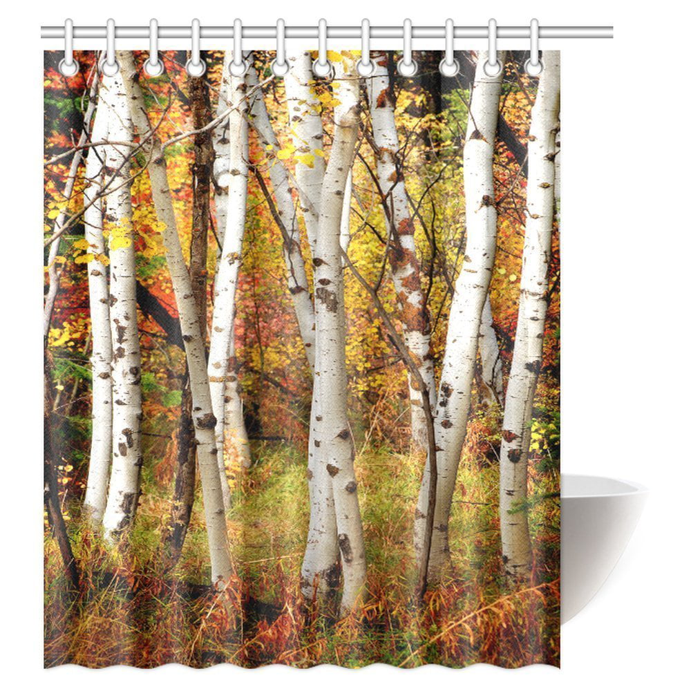 MYPOP Fall Woodland Shower Curtain, White Fall Birch Trees with Autumn ...