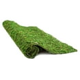 thumbnail image 4 of Proflora 18” x 48” Moss Mat, True Green Floramat, Artificial Turf, 4 of 7