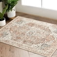 thumbnail image 1 of Alfombra Jinchan, lavable, 60 x 90 cm, para entrada interior, estilo vintage, 1 of 8