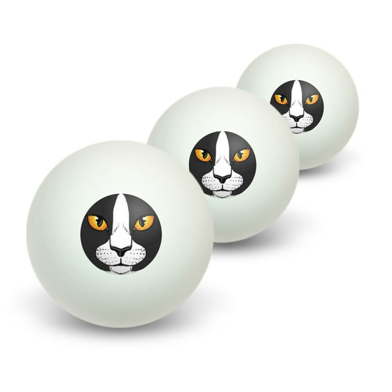 Cat ping 2024 pong ball