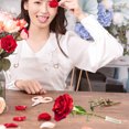 thumbnail image 4 of unbranded 100Ud Nutritivos Para Flores Con Tapa Ideal Para Arreglos Y Preservación, 4 of 8