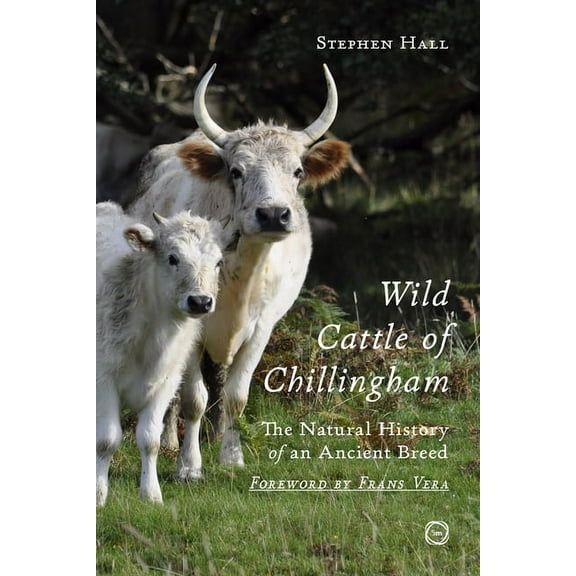 Wild Cattle of Chillingham: The Natural History of an Ancient Breed, (Paperback)