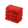 thumbnail image 2 of Premium Egyptian Cotton Highly Absorbent Assorted 4-Piece Plush Towel Set - 20" x 30", 2 of 6