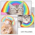 thumbnail image 5 of 2 Pcs Oreiller Coloré pour Chat Oreiller de Sommeil pour Chat Oreiller à Mâcher Jouet, 5 of 5