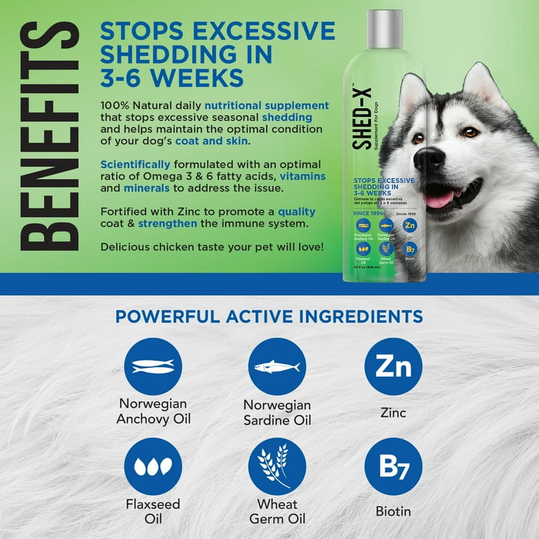 Natural supplements for dog shedding hotsell