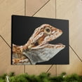 thumbnail image 6 of Smiling Bearded Dragon Baby Close Up Print Animal Wall Art Wildlife Canvas Prints Wall Art Ready to Hang Unframed, 6 of 18