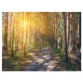 thumbnail image 2 of Thick Forest with Yellow Sun Rays - Landscape Photography Canvas Print, 2 of 3