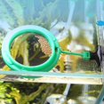 thumbnail image 2 of Fish Feeding Circle Aquarium Accessories Feeder Tank Buoyancy, 2 of 8