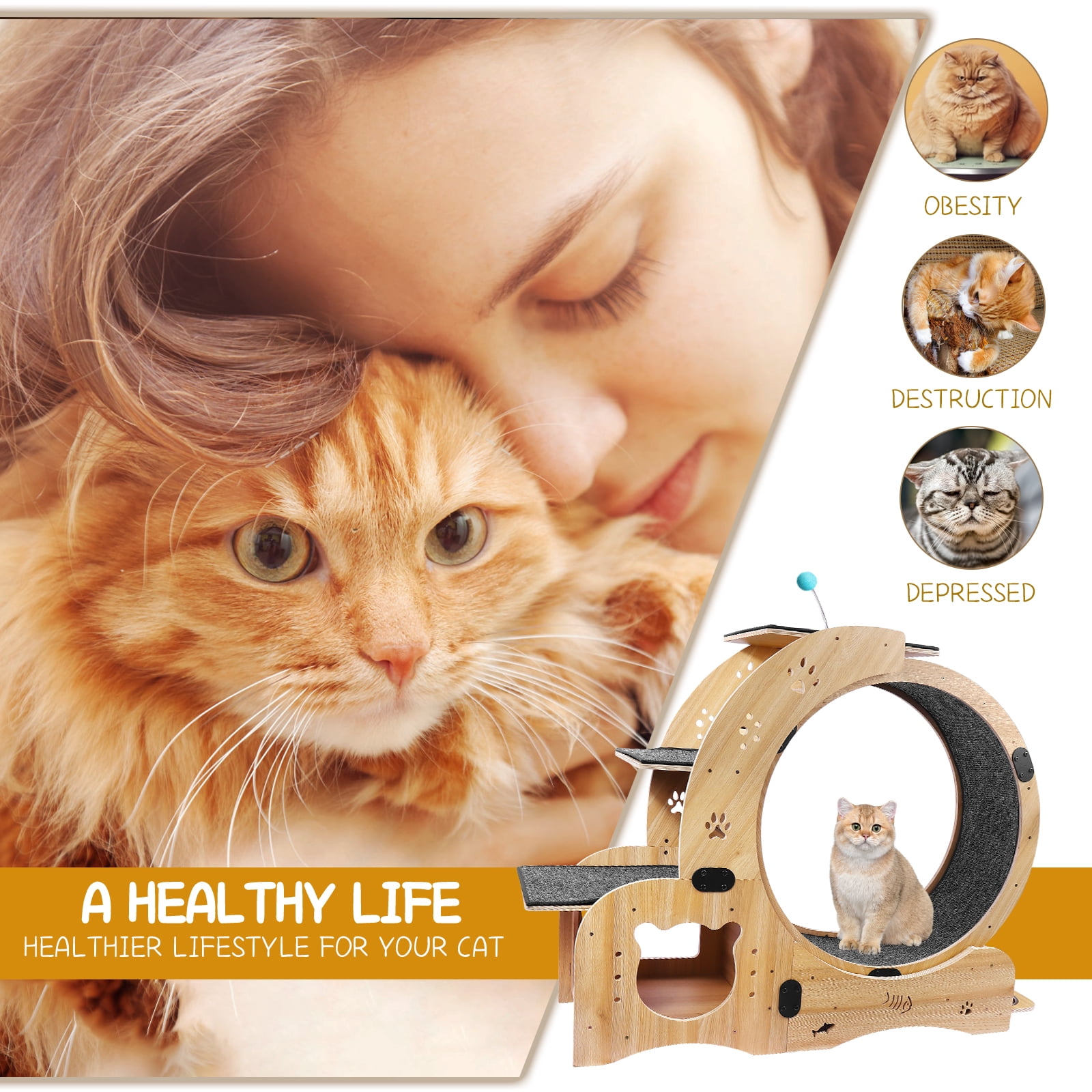 6-in-1 Cat Exercise Wheel – Silent Running Wheel for Indoor Cats, Large Treadmill & Play Toy