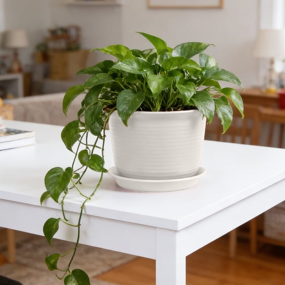 Large Plastic Plant Pots with Saucers, Modern Decorative Flower Pots, Heavy Duty Weather Resistant Planters for Indoor Outdoor Plants, Garden, Dark Grey Plant Containers with Drainage Tray