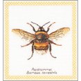 thumbnail image 2 of Bumble Bee On Aida Counted Cross Stitch Kit, 7.75" x 8.25", 16 Count, 2 of 2