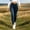 Navy, variant on Qulqfy Petite Women's Jeans in Store Skinny Navy Stretchy High Waisted Denim Casual Jeans Womens Sweatpants XL