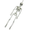 thumbnail image 1 of Modelo de anatomía corporal de Halloween, esqueleto de tamaño completo, hueso de mano, decoraciones para fiesta en casa, 1 of 9