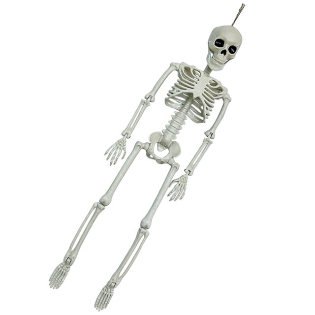 Modelo de anatomía corporal de Halloween, esqueleto de tamaño completo, hueso de mano, decoraciones para fiesta en casa