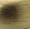 Elegant Brass, variant on Amerock Everyday Heritage 1-1/4 in (32 mm) Diameter Oil-Rubbed Bronze Cabinet Knob - 10 Pack