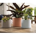 thumbnail image 6 of Bloem Mathers 6" Plastic Planter - Modern Indoor Pot with Drainage Holes and Saucer Tray, Pebble Stone, 6 of 6
