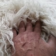 thumbnail image 5 of THE BEST 6X9 FLOKATI RUG MADE | LONG 4” SHAG PILE | STYLISH OFF WHITE WOOL AREA RUG, 5 of 6