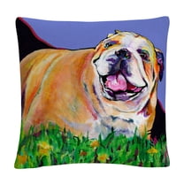 Spring Fever' Animals Pets Painting Bold By Pat Saunders-White 16 X 16 Decorative Throw Pillow