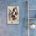 thumbnail image 4 of Epic Art 'Boston Terrier 2' by Barbara Keith, Acrylic Glass Wall Art, 16"x24", 4 of 8