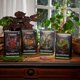 thumbnail image 2 of Magic: The Gathering Bloomburrow Commander Deck Bundle - Includes All 4 Decks (Animated Army, Family Matters, Peace Offering, and Squirreled Away), 2 of 6