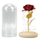 thumbnail image 1 of Cúpula de cristal y rosa roja, rosa en cúpula de cristal que ilumina la rosa eterna, rosa encantada, regalos románticos, resistentes y resistentes, 1 of 8