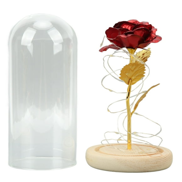 Enchanted Rose Romantic Gifts,Rose in Glass Dome Rosein Glass Dome Dome Glassand Red Rose Future-Proof Design