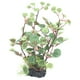 thumbnail image 2 of Decoración De Plantas De Paisajismo De Acuario Planta De Simulación De Tanque De Peces Natural Hermosa Estable Estable Para Acuario Para Pecera ANGGREK Mascotas, 2 of 8