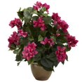 thumbnail image 2 of Bougainvillea w/Ceramic Vase, 2 of 2