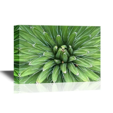 Amare Wall - wall26 Floral Canvas Wall Art - Sharp Pointed Agave Plant Leaves - Gallery Wrap Modern Home Decor | Ready to Hang - 24x36 inches