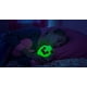 Bright Time Buddies Lumière de Nuit - Lumière de Nuit de Bébé en Forme d'Animal comme on le Voit sur les Lumières de Nuit des Enfants de Télévision (Chat) – image 2 sur 2