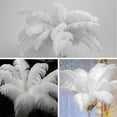 thumbnail image 4 of 15 piezas de plumas de avestruz blancas, plumas blancas naturales, (15-20 cm) plumas blancas grandes, juego de plumas de avestruz naturales para manualidades, diseño artístico, decoración de mesa de, 4 of 6