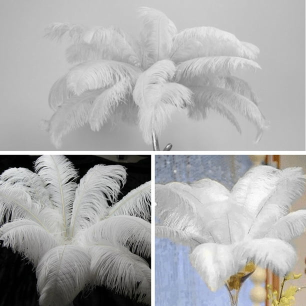 10 Plumes D'autruche Naturelles – KikiHong – Déco Polyvalente