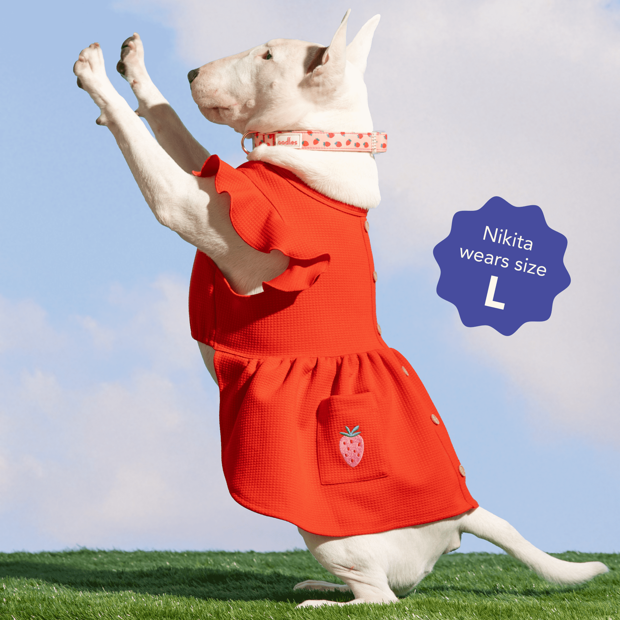 Oodles Sweet Strawberry Flutter Dog Dress, Red, Extra Small - Walmart.com Oodles Sweet Strawberry Flutter Dog Dress, Red, Extra Small - Walmart.com