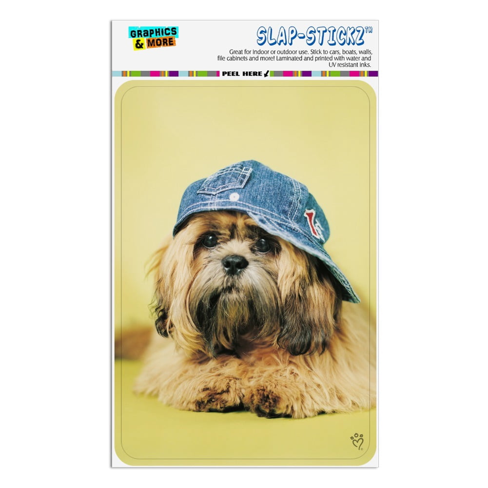THE BEST SHIH TZU IN THE WORLD LIVES HERE Novelty/Fun Laminated Sign Gift 